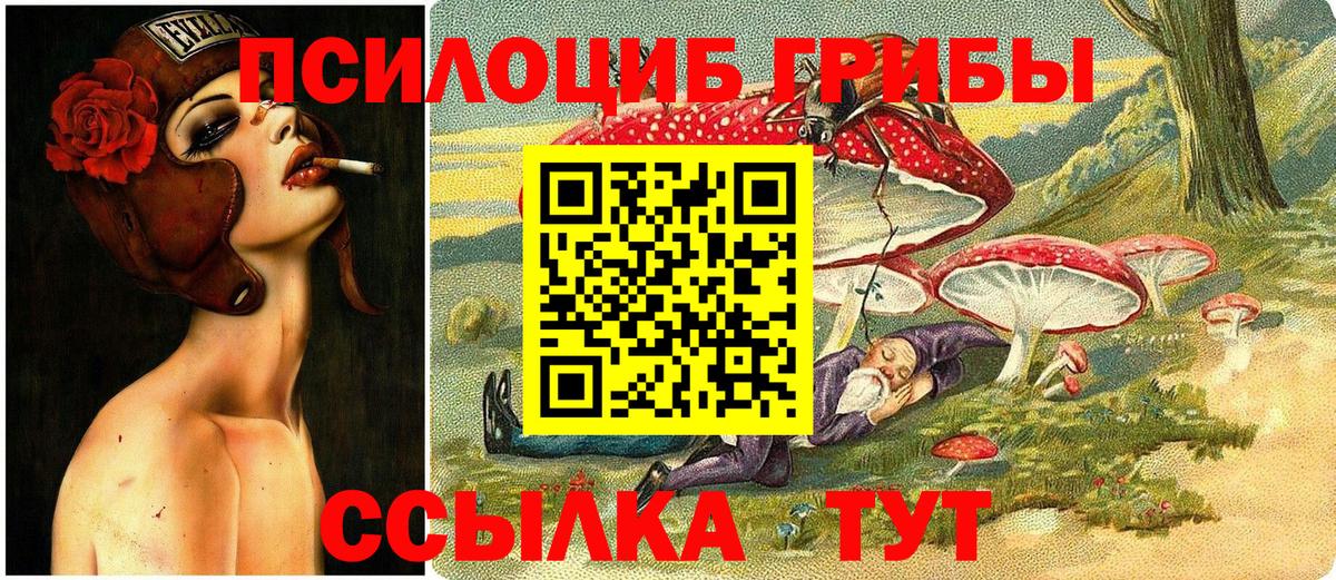 купить  цена  Галлюциногенные грибы мицелий  Барнаул  Вход с VPN  Галлюциногенные грибы Cubensis 