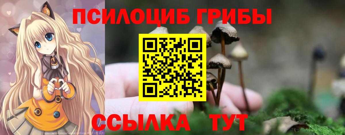Псилоцибиновые грибы мицелий Барнаул